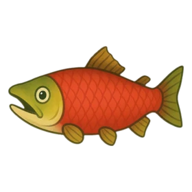 Liar Fish Rare