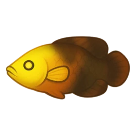 Lightspot Fish Rare
