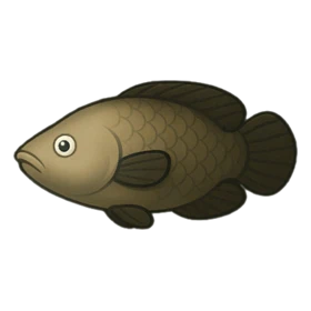 Lightspot Fish Standard
