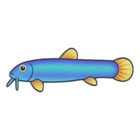 Loachie - Party Animals fish