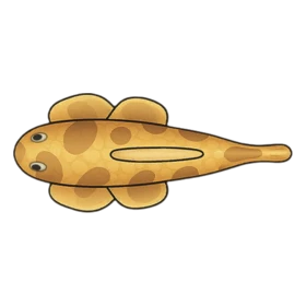 Louis Fish Uncommon