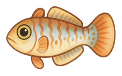 平凡鱼 - Party Animals fish