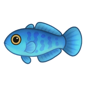 Normie Fish Rare