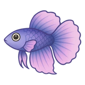 Peony Fish Rare