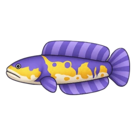 Pharaoh Fish Rare
