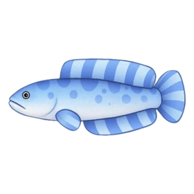 Pharaoh Fish Uncommon