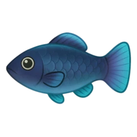 Pleaser Fish Epic