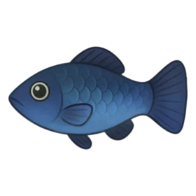 Pleaser Fish Rare