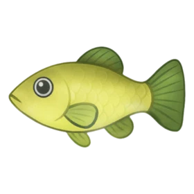 Pleaser Fish Uncommon