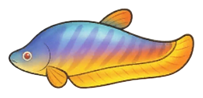 七星刀 - Party Animals fish