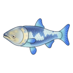 Porcelain Fish Epic