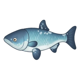 Porcelain Fish Rare
