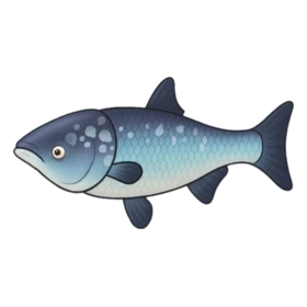 Porcelain Fish Uncommon