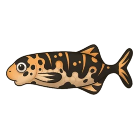 Pottery Fish Rare