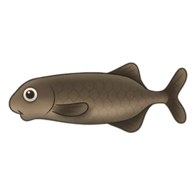 Pottery Fish Standard