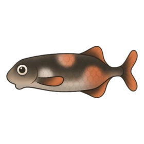Pottery Fish Uncommon