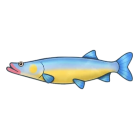 Pouty Fish Rare