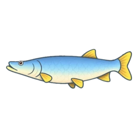 Pouty Fish Uncommon