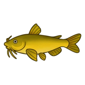Quack Fish Standard