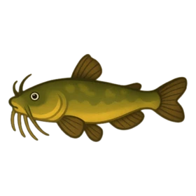 Quack Fish Uncommon