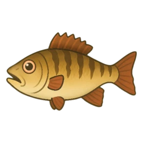 Rad Bass Rare