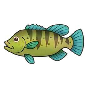 Reagent Fish Rare