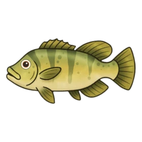Reagent Fish Uncommon