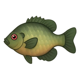 Rocklike Fish Rare