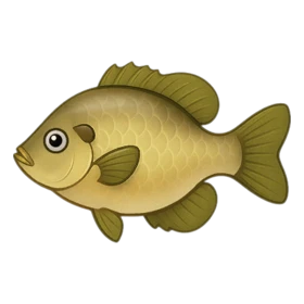 Rocklike Fish Standard