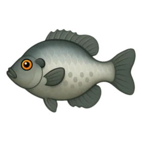 Rocklike Fish Uncommon