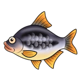 Shimmerfin Rare