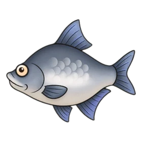 Shimmerfin Standard