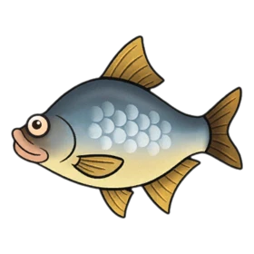 Shimmerfin Uncommon