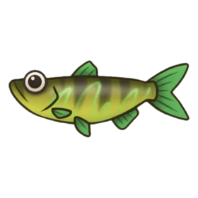 Snob Fish Epic