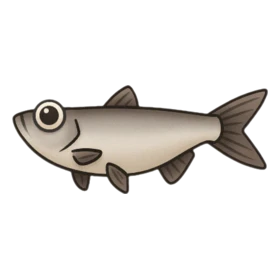 Snob Fish Standard