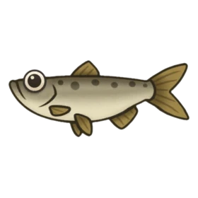 Snob Fish Uncommon
