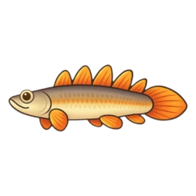 Stego Fish Uncommon