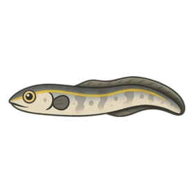 Thunder Eel Epic