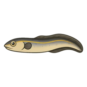 Thunder Eel Rare