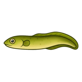 Thunder Eel Uncommon