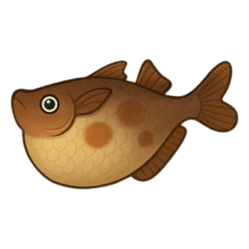 Trainer Fish Uncommon