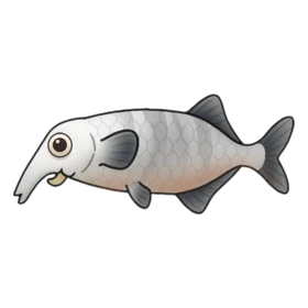 Trunky Fish Uncommon