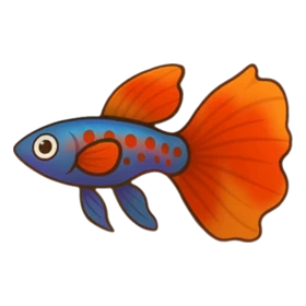 Tutu Balletfish Epic