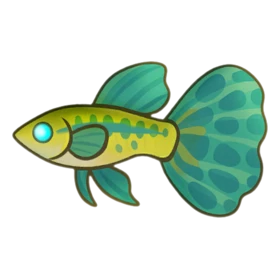 Tutu Balletfish - Party Animals fish