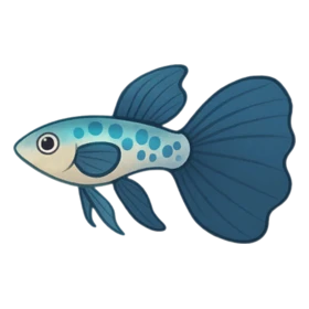 Tutu Balletfish Rare