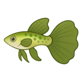 Tutu Balletfish Uncommon