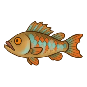 Underbite Fish Rare