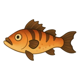 Underbite Fish Uncommon