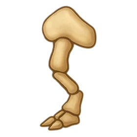Unknown Fossil Rare