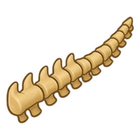 Unknown Fossil Uncommon